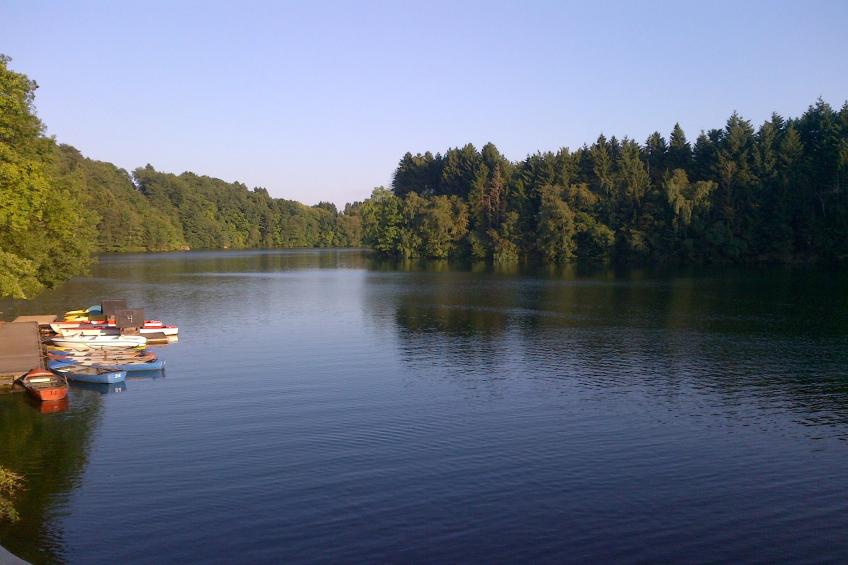 Le Coeur Des Fagnes - foto 33