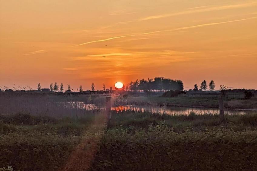 Kustwoning Baarland in Zeeland - foto 39