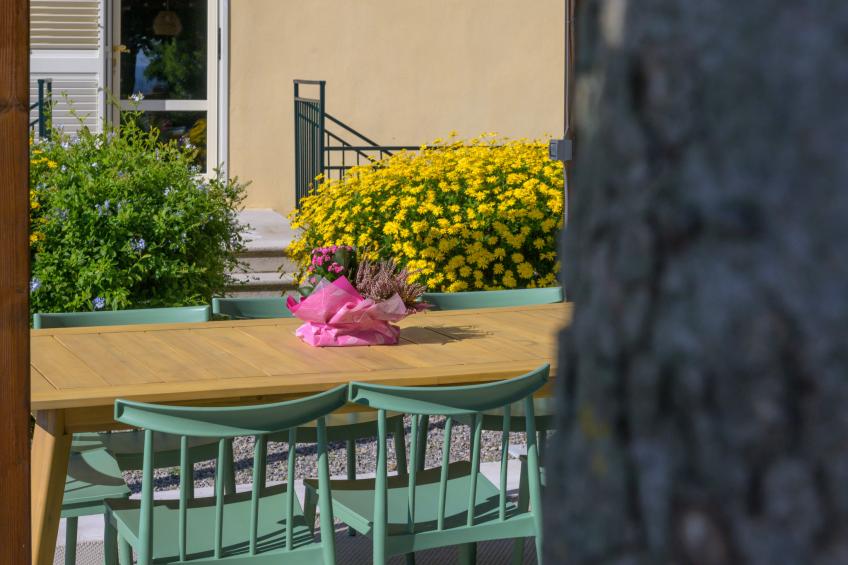 Il Belvedere di Montiano - foto 49