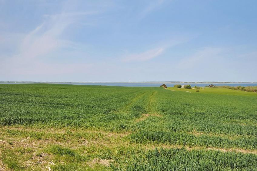 "Alois" - 1km to the inlet in The Liim Fiord - foto 4