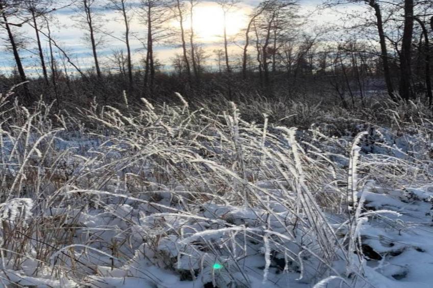 Im Erzgebirge - foto 36