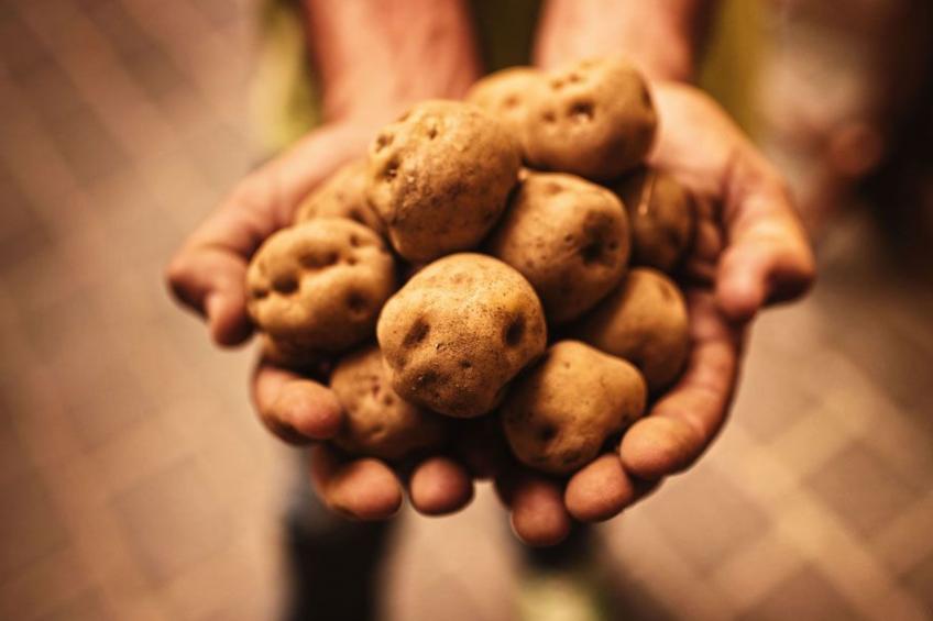 "Aquarius" mit Wasserblick - foto 24