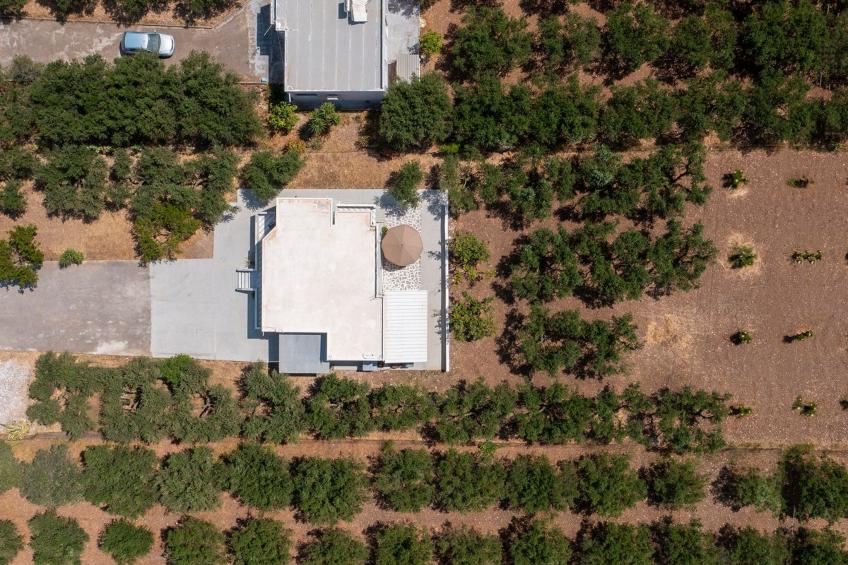 in einem Olivenhain in Strandnähe - foto 31