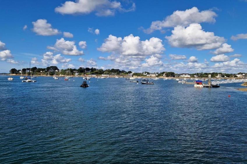 Les Iles du Morbihan - foto 25