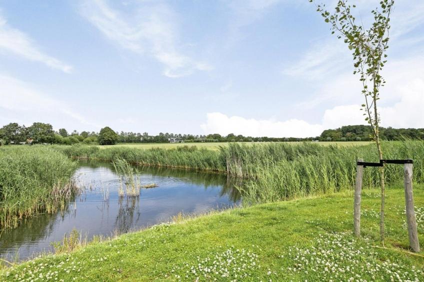 De Ooievaar - foto 32