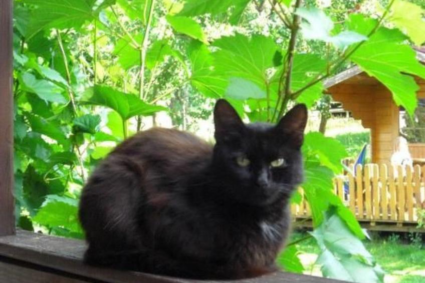 Wohnung "Himmelreich" - foto 14