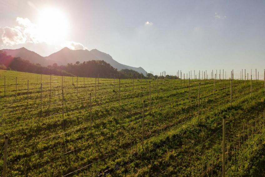 Agriturismo La Torre - foto 27