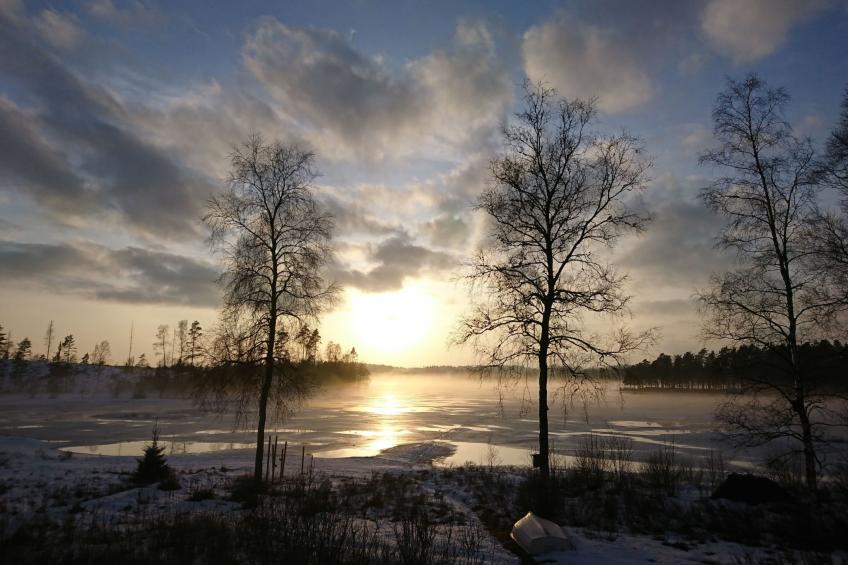 Saxarsviken - foto 46