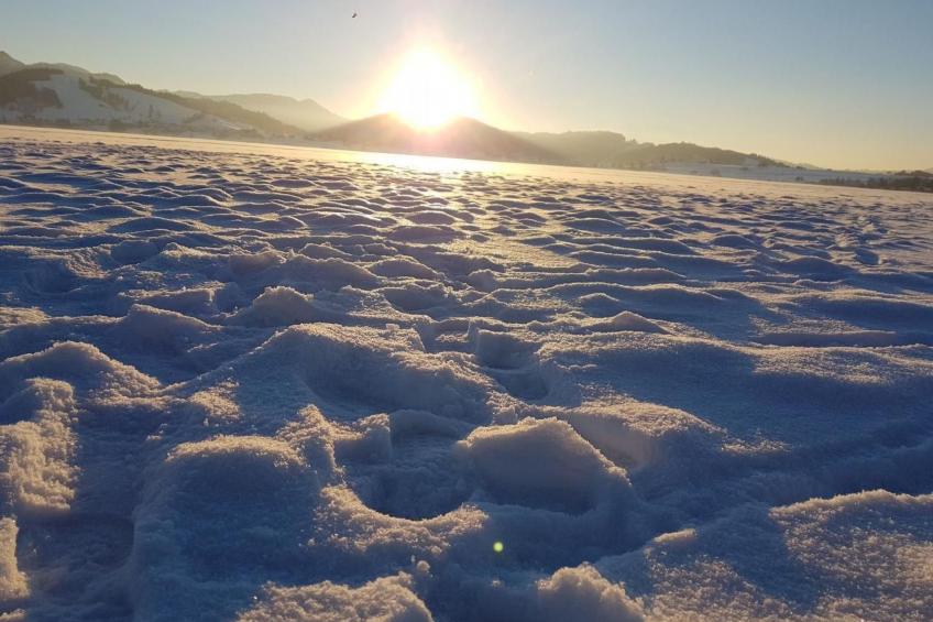 Biohof Tanngarten - foto 15