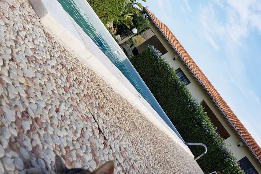 Wohnung 5 - Zwei-Zimmer-Wohnung - foto 36