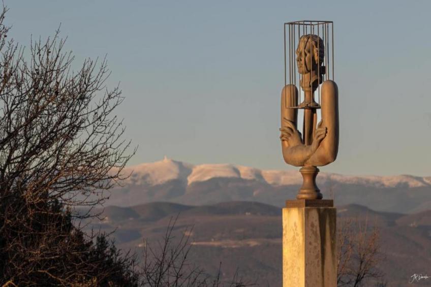 Villa Coda - foto 36