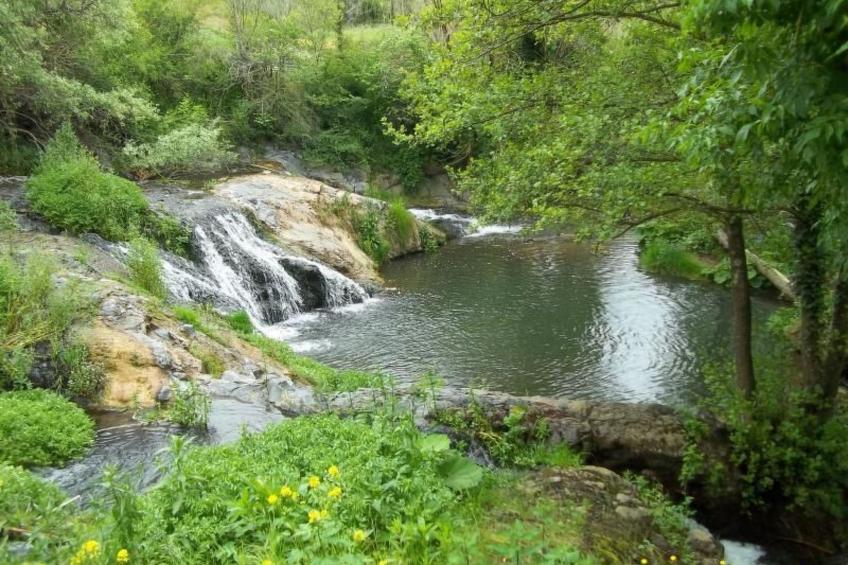 Die Villa die Mühle - foto 14