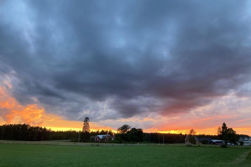 Blombacker - foto 46