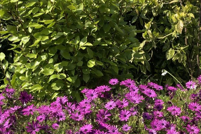 Villa DUXCAAR - foto 45