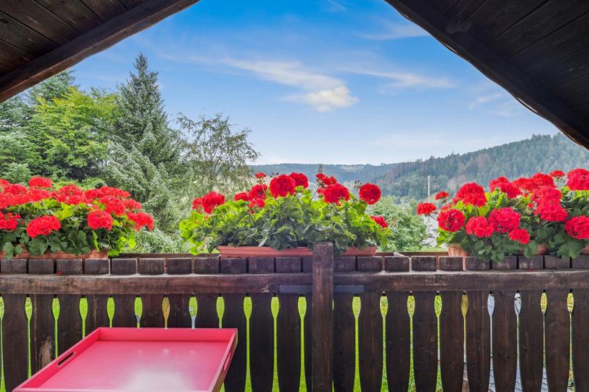 FH Panoramablick - foto 18