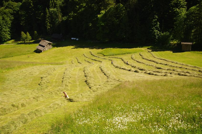 Neuhäusl Brandenberg - foto 25