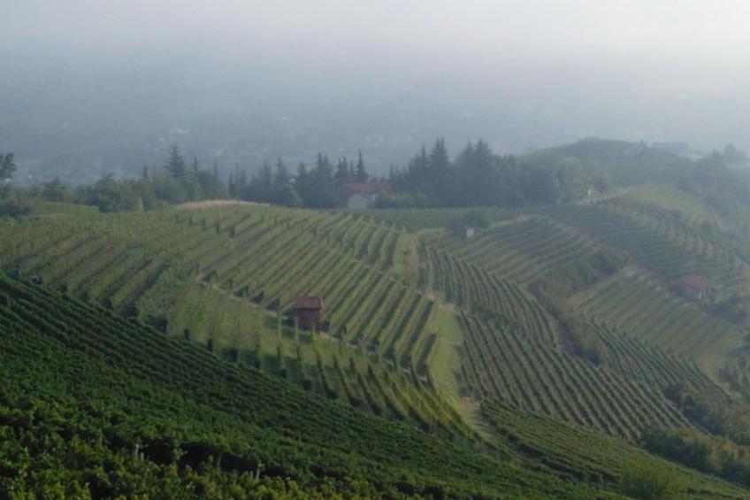 Haus "Badinot" mit privatem Garten und Grill - foto 19