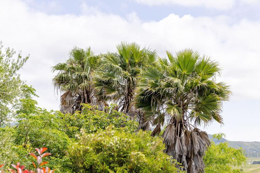 "TwinVilla Silberküste" - foto 31