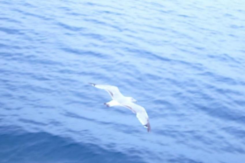 Sun Residence 5 - foto 31