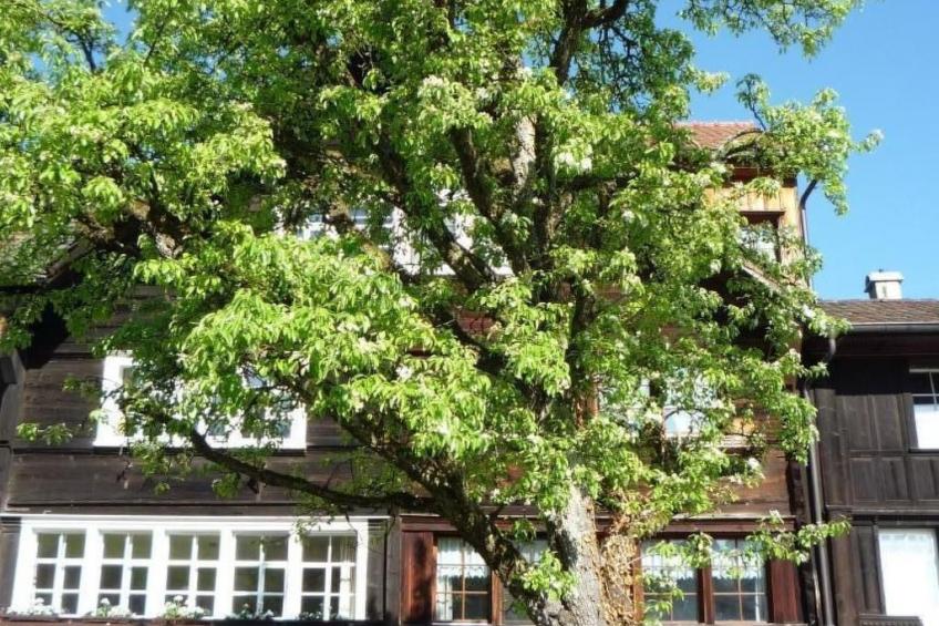 Appenzell House - foto 3