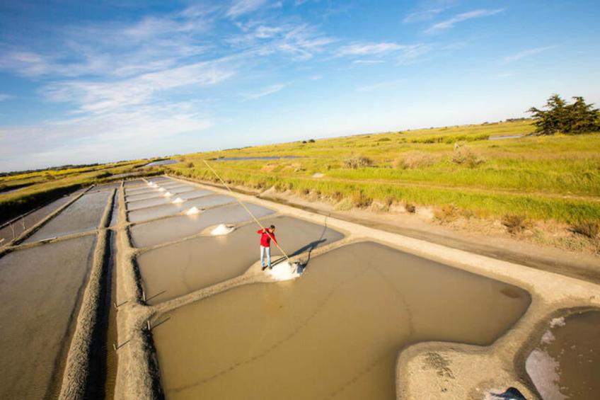 Maison à La guerinière - Ile de Noirmoutier - foto 17