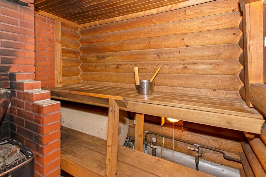 Heinäsorsa - foto 16