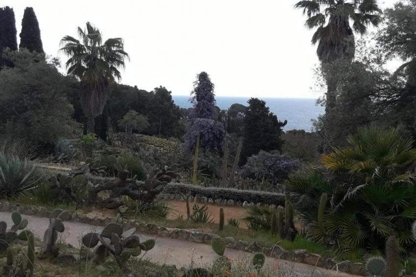 Cipresos 12pax - foto 38
