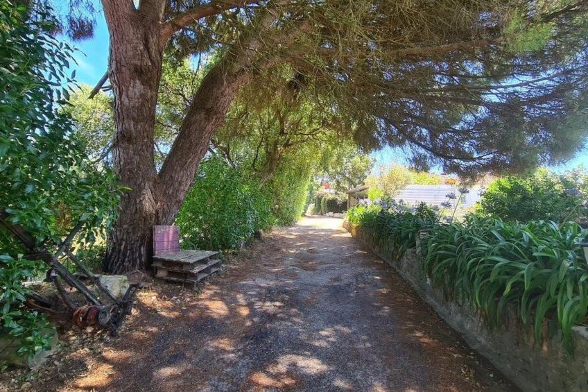 Haus in einem Bauernhof zwischen Weinbergen 2 - foto 16