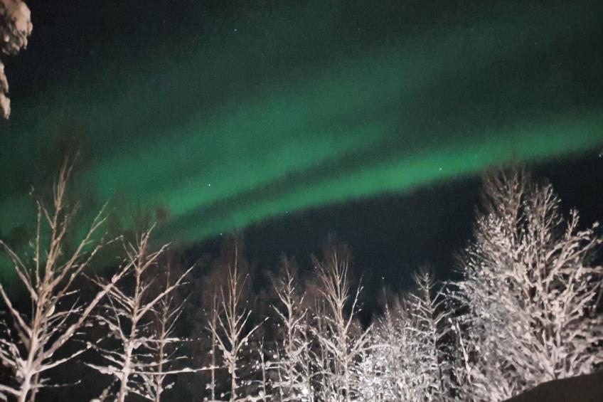 Villa Norrsken - foto 17