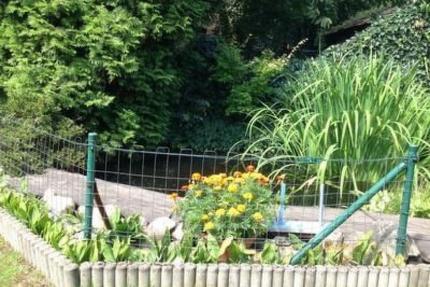 Appartement mit Garten, Grill und Terrasse - foto 11