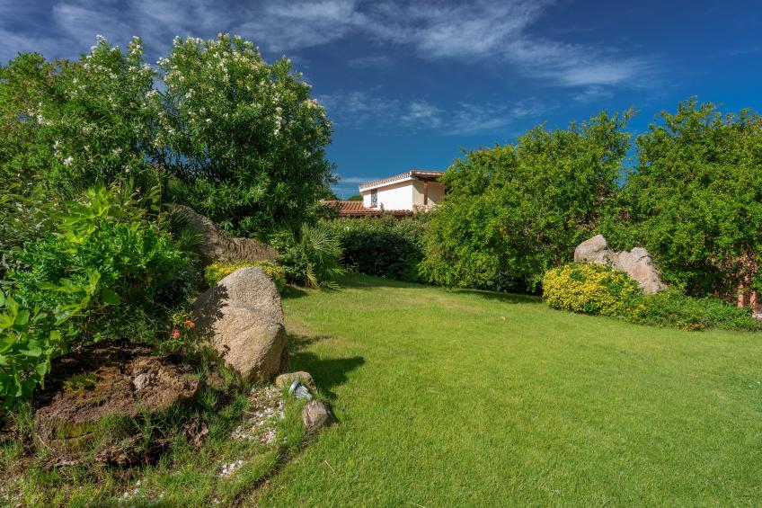 Palau Green Village - foto 16