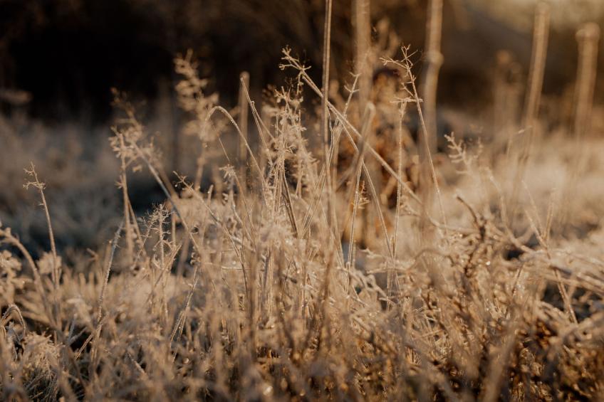 FlowFort - Riesengebirgsblick Spa Wellness - foto 47