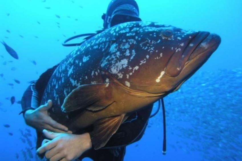 Seaview Refugium 633 - foto 21