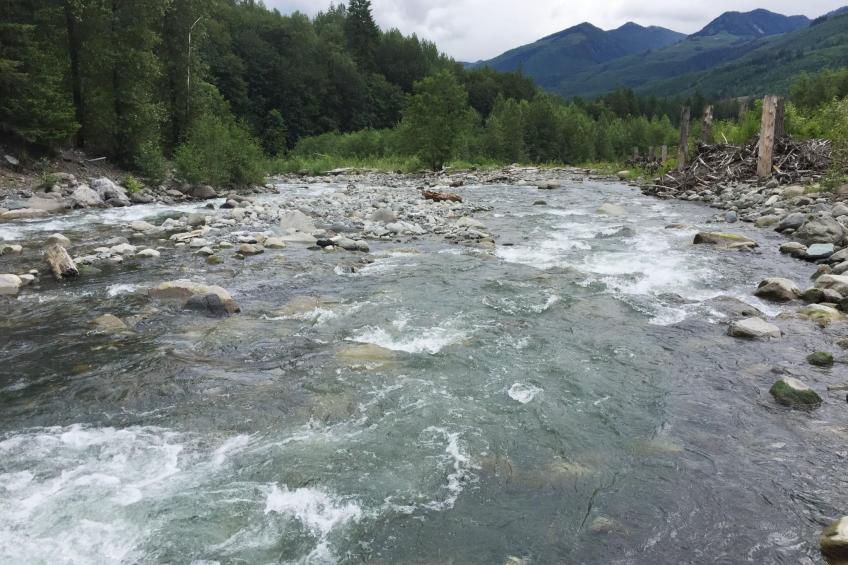 Hütte 15 mit Whirlpool, Wi-Fi, Haustiere erlaubt und AC - foto 26