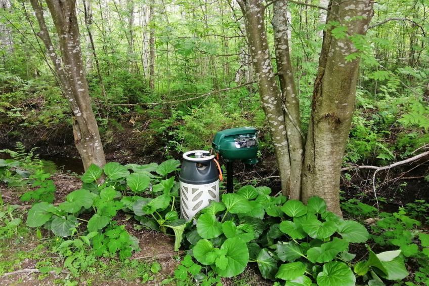 Ruokovirran mökki - foto 25