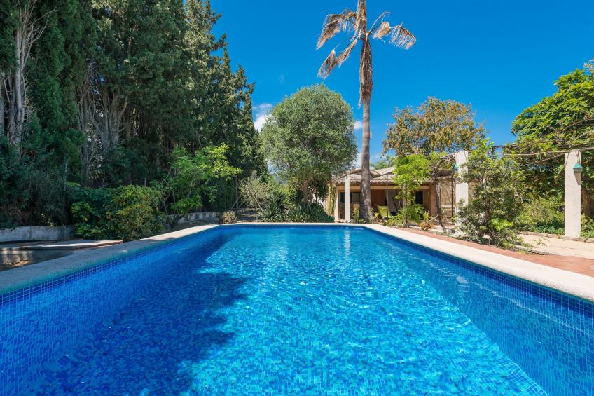 Ca Na Sioneta - foto 20