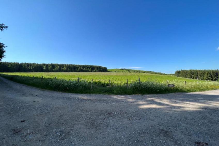 Sauerland - foto 26