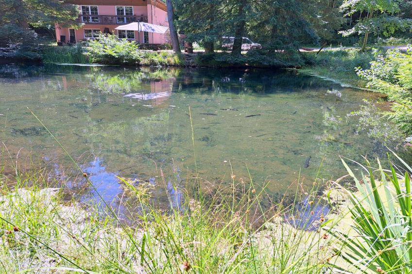 Vakantiewoningen Forellenhof, Dabo - Type A - foto 19