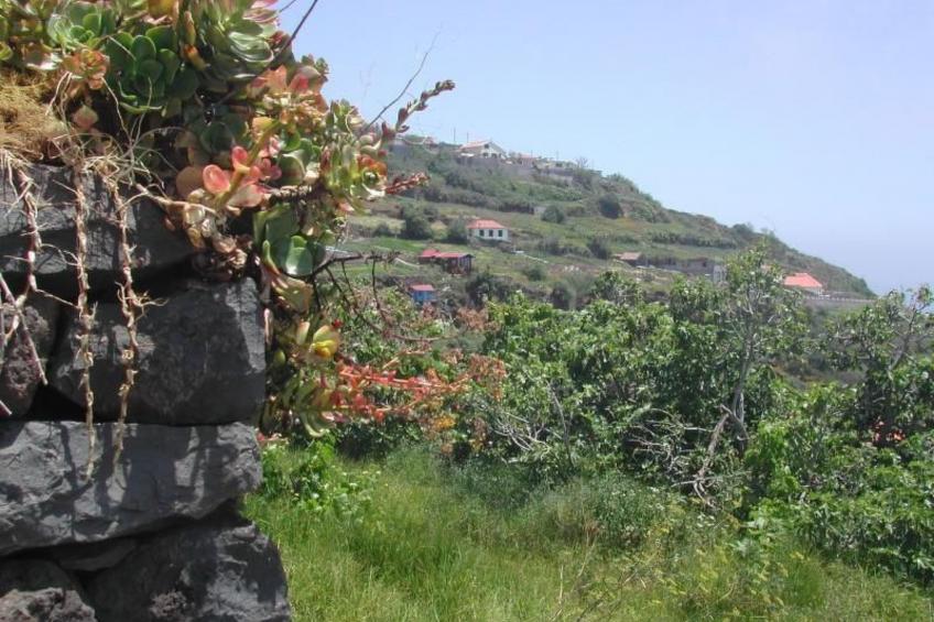 in Canhas mit Schönem Garten - foto 11