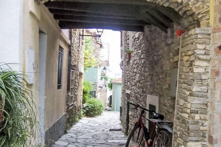 Schönes Ferienhaus mit Garten und Whirlpool - foto 32