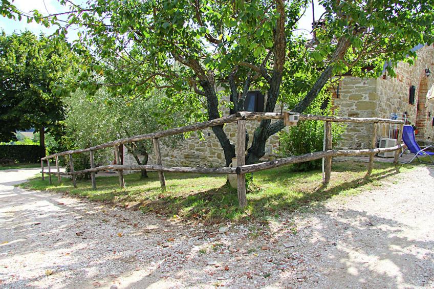 Gelsomino - foto 39