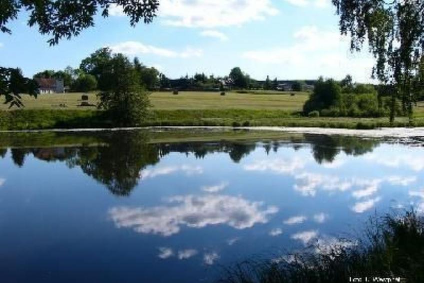 in Breitenstein mit Grill und Garten - foto 31