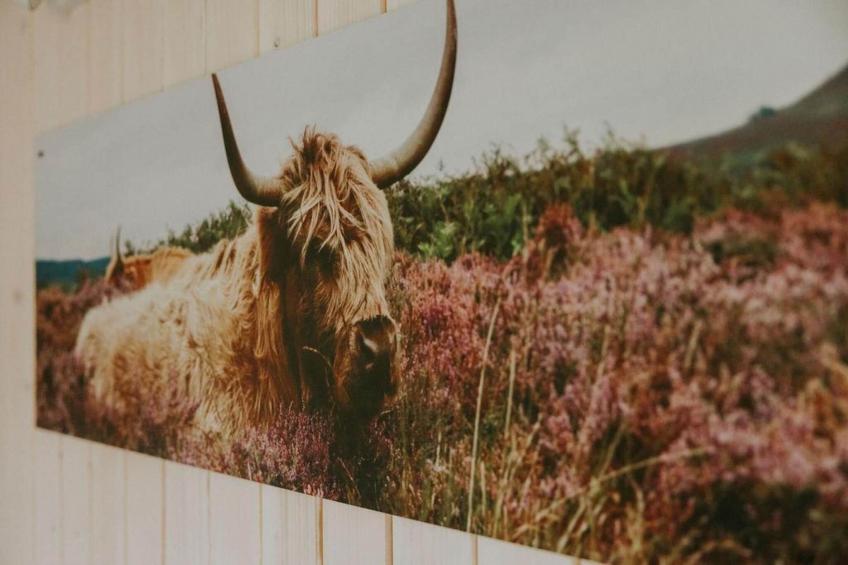 Tiny house XL | 2-4 persoons - foto 13