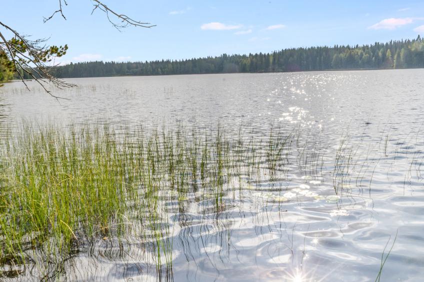 Kuikkaranta - foto 22