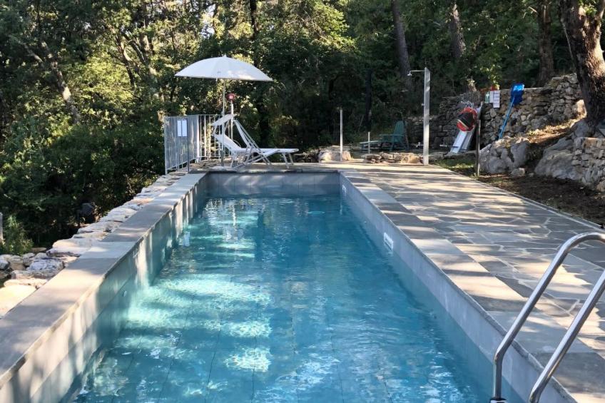 Kirschbäume, eine Oase im Wald zwischen Meer und Natur - foto 7