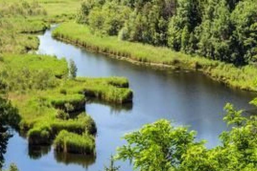 mit Terrasse auf einem Bauernhof - foto 11