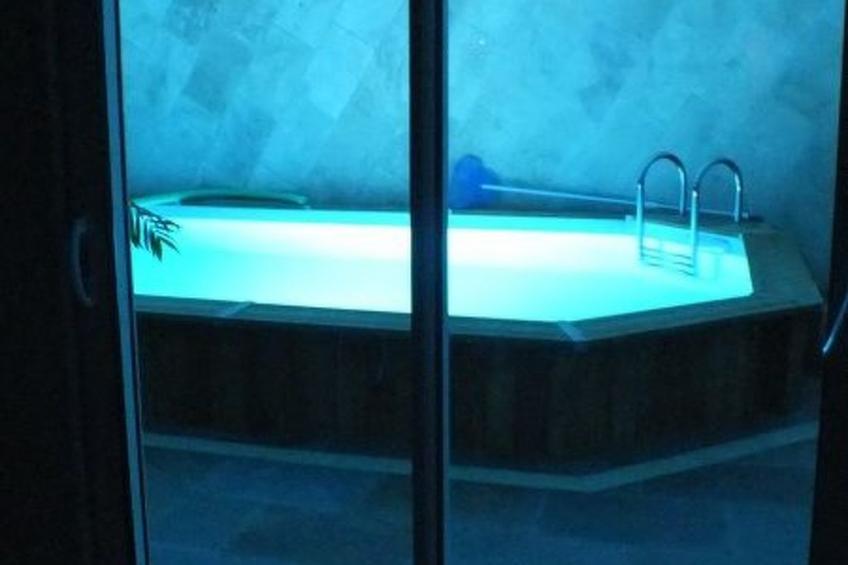 la petite maison sous les pinins-innenpool - foto 3