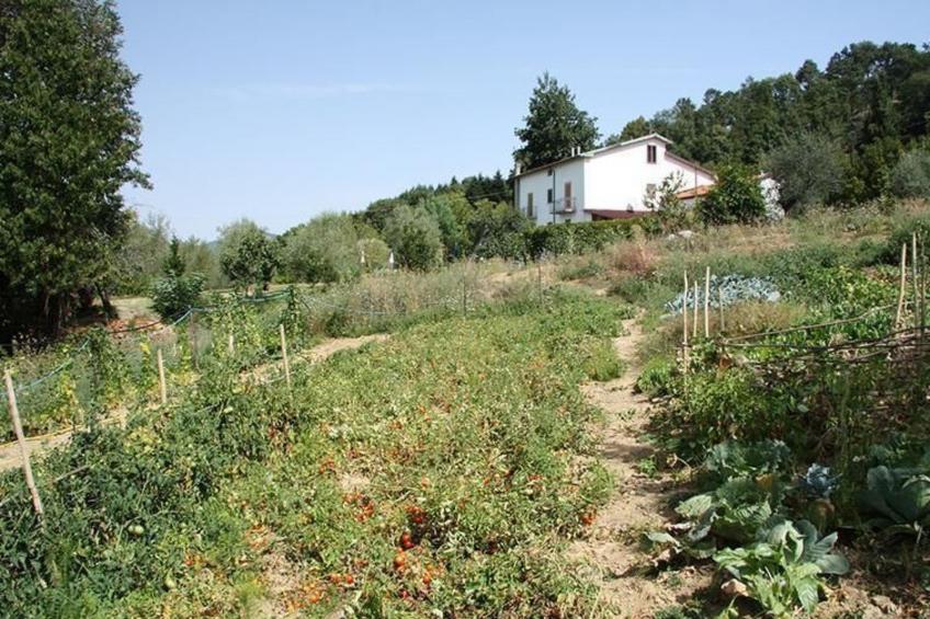 Capriolo' Wohnung Erdgeschoss - foto 29