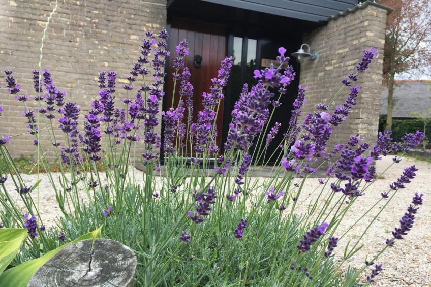 De Schelp 07 - foto 15