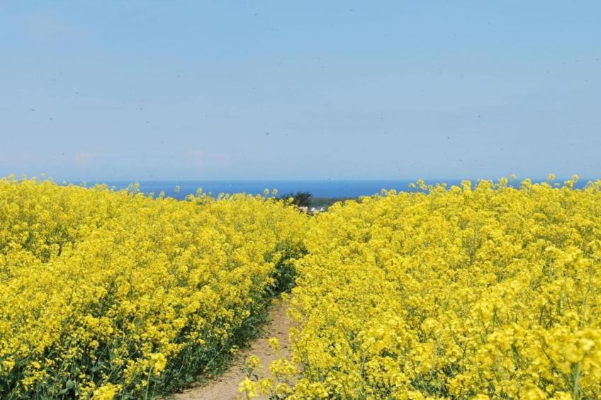 Am Hellbachtal Nr 1 - foto 30